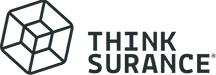 Logo_der_Thinksurance_GmbH
